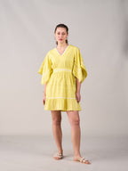 Emily Dress