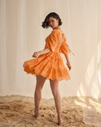 Serena Schiffli Dress