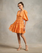 Serena Schiffli Dress