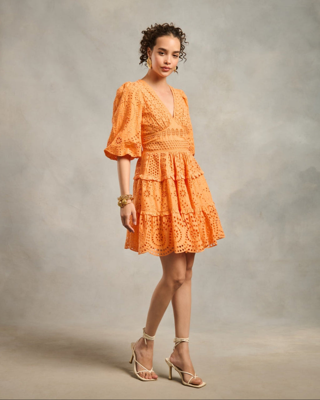 Serena Schiffli Dress