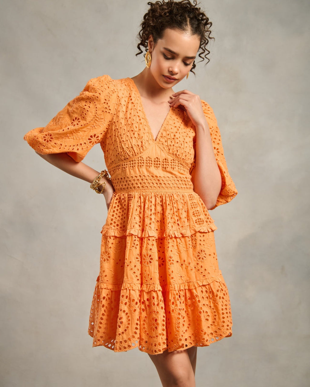Serena Schiffli Dress