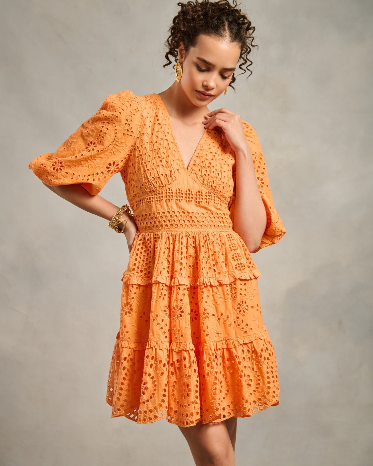 Serena Schiffli Dress