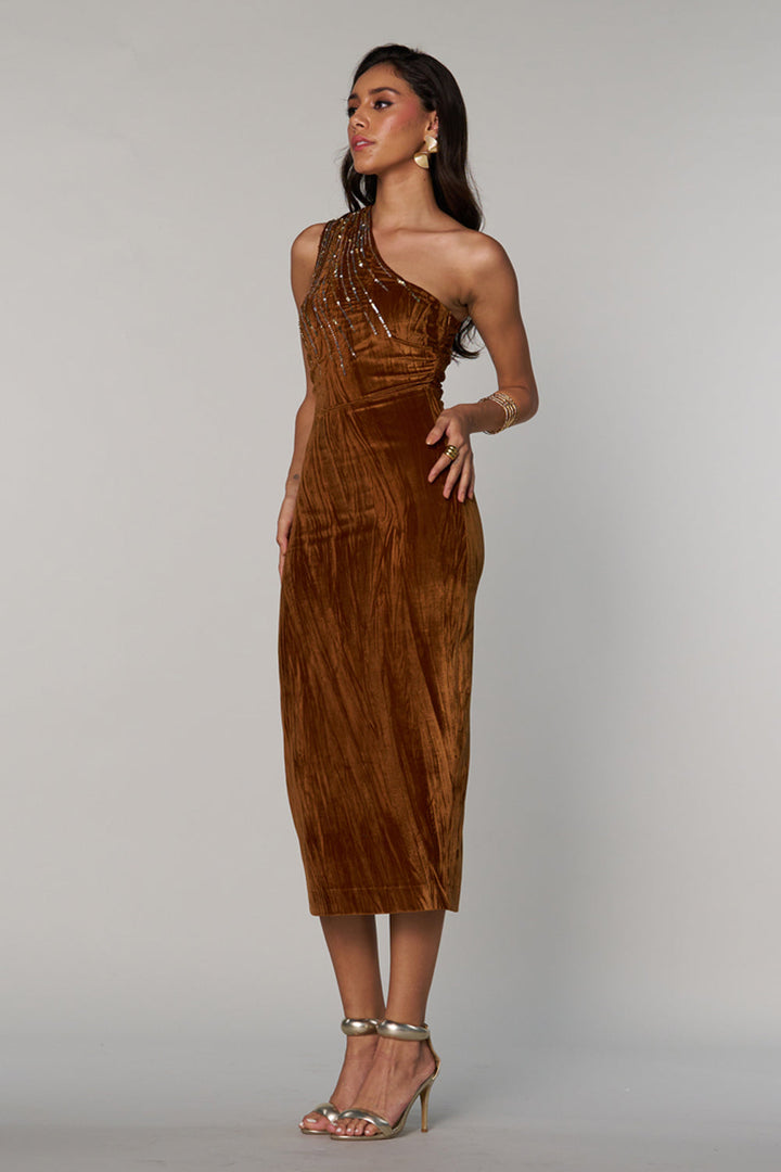 Lisa Velvet Dress