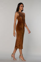 Lisa Velvet Dress
